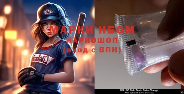 прущие грибы Наволоки
