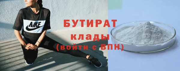 прущие грибы Наволоки