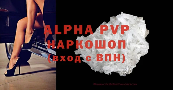 ECSTASY Билибино