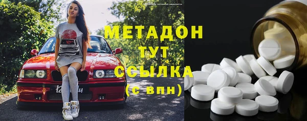прущие грибы Наволоки