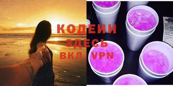 прущие грибы Наволоки