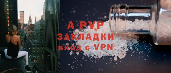 прущие грибы Наволоки