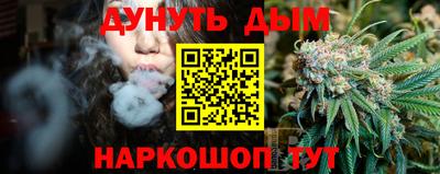 гидропоника Краснознаменск