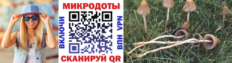 Галлюциногенные грибы MAGIC MUSHROOMS Туймазы