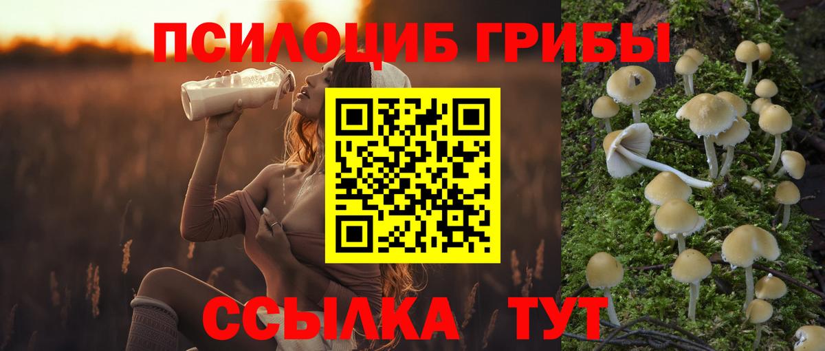 Туймазы  Галлюциногенные грибы Cubensis  Вход с VPN 